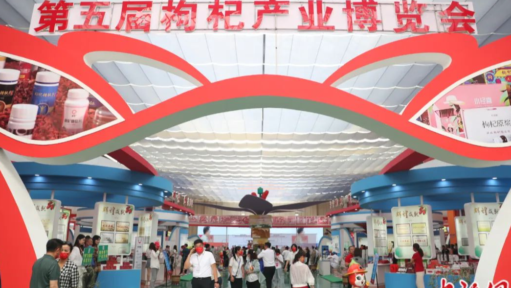 周阳：枸杞何以成为宁夏对话世界的“红色名片”？| 东西问