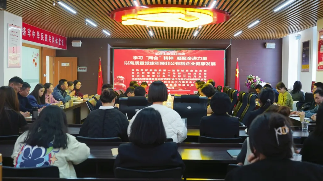 智慧宫联合自治区纪委监委、党委社会工作部等五个党支部开展主题党日活动