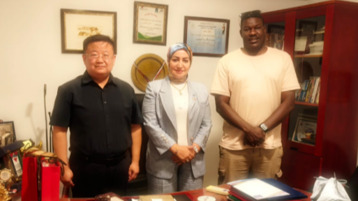 智慧宫代表团赴埃及交流 | 聚焦教育合作 推动中国经验落地埃及