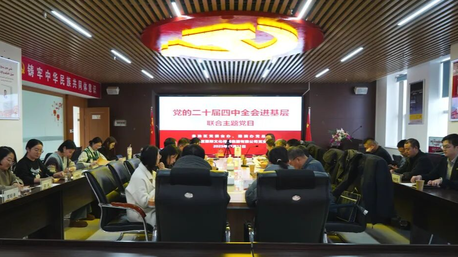 深耕文化强国沃土 汲取全会思想伟力&mdash;&mdash;智慧宫集团党支部12月党建活动综述