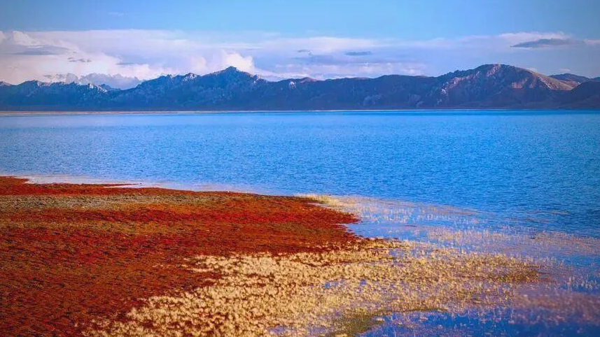  新书推荐 | 《冬格措拉的孩子》（阿拉伯文版）：湖畔微风里的成长之路