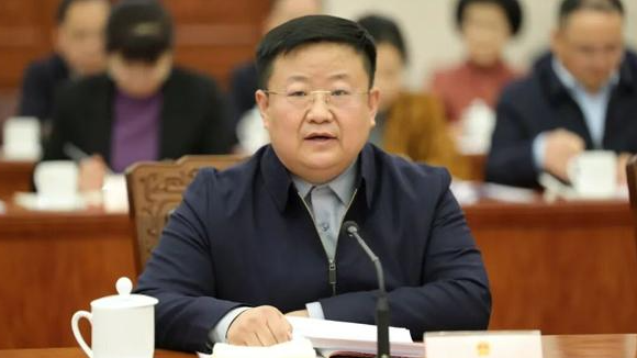 中国网 | 全国人大代表张时荣：让中文成为中阿文明交流的桥梁