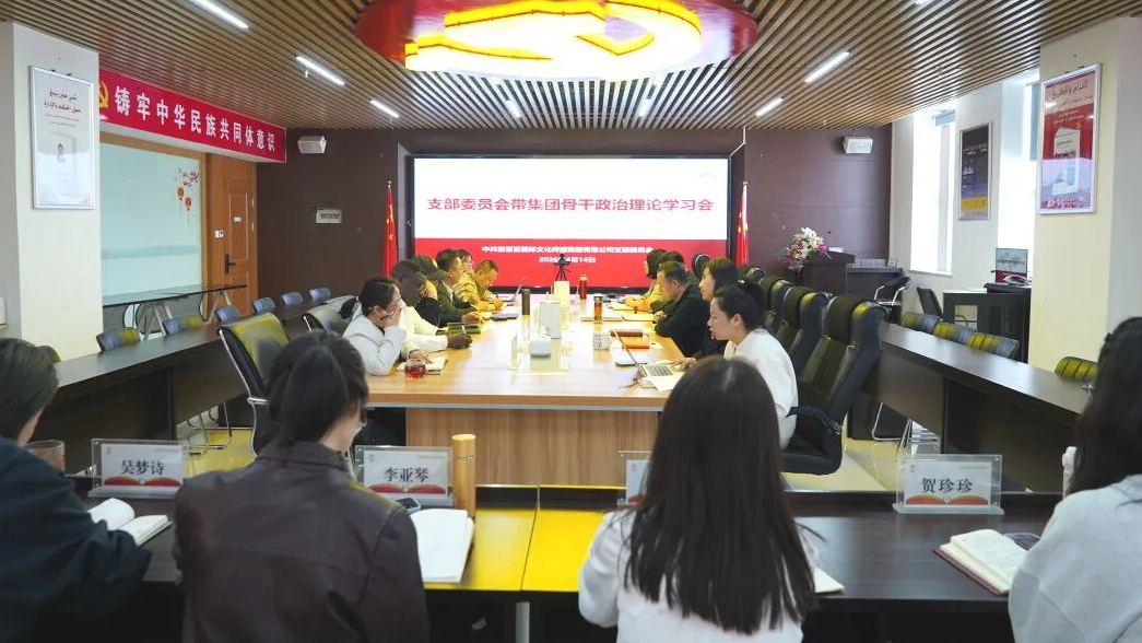 智慧宫党支部开展4月支委带骨干政治理论学习｜以挺进大别山精神  推动国际中文教育高质量发展